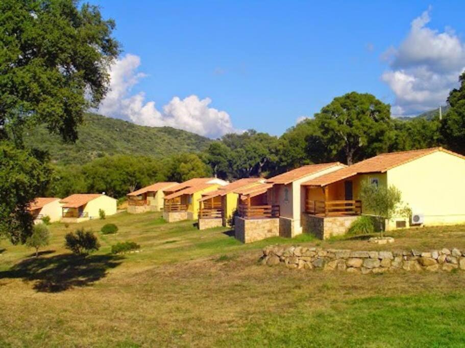 Maison Au Calme Avec Piscine Et Climatisation Sollacaro 외부 사진